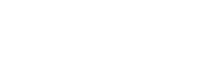 Brave Logo