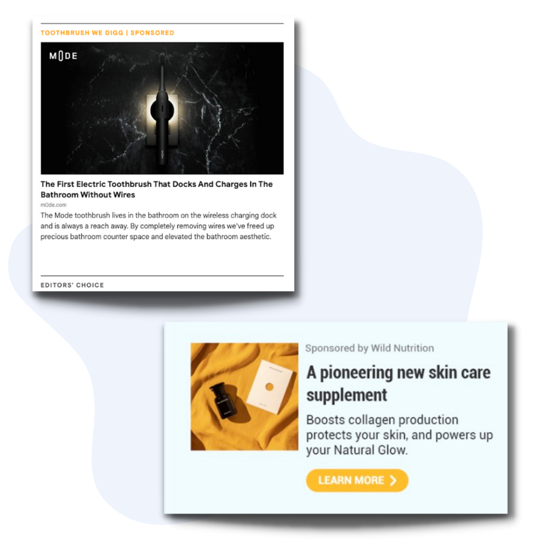 newsletter-network-2 newsletter-network-2