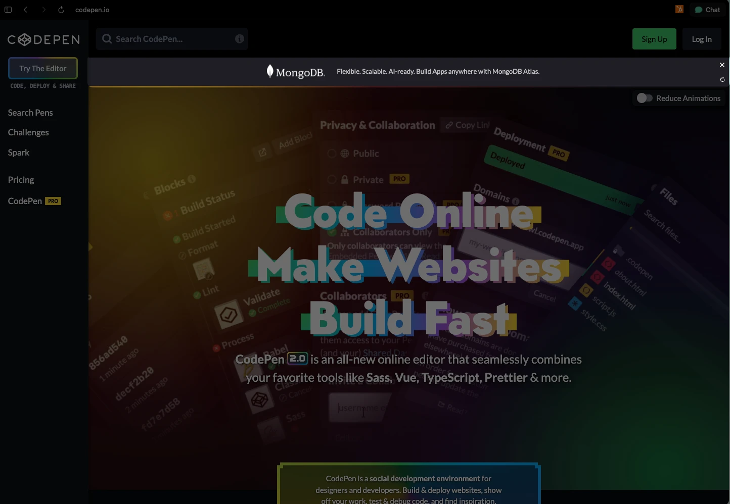 Codepen Monthly Site Sponsorship placement example