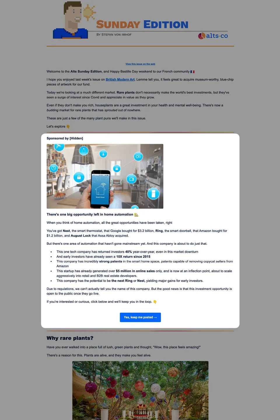 The Sunday Edition Newsletter Sponsorship placement example